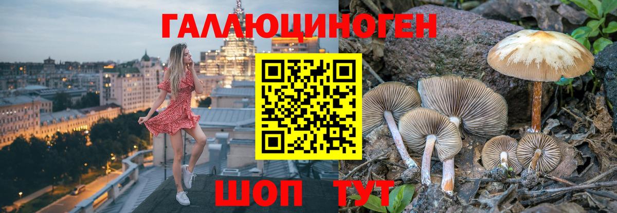 Галлюциногенные грибы мухоморы  Вход с VPN  Джанкой 